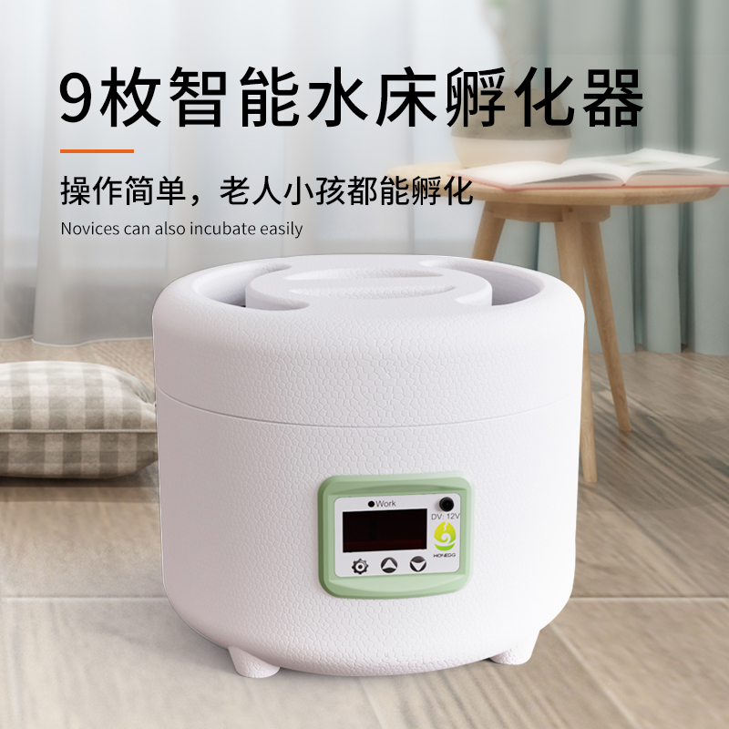HHD 水床孵化器自动控温小型家用迷你孵化箱鹦鹉芦丁鸡家禽孵蛋器