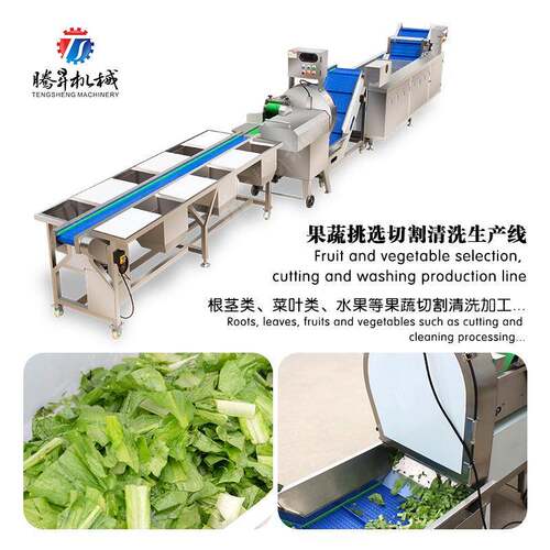 果蔬清洗切割作业线规格可定来图定厂家供应气泡清洗机