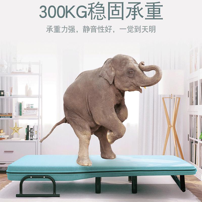 沙发床两用折叠小户型客厅多功能可拆洗布艺单人双人网红款沙发床