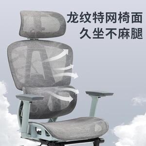 泰畅人体工学椅升降双背电脑椅家用办公座椅电竞椅久坐学习转椅子