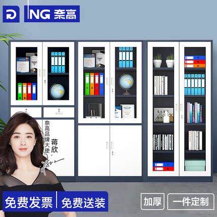 奈高办公室文件柜铁皮钢制档案铁皮凭证柜员工矮资料储物收纳带锁