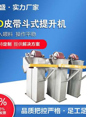 TD型皮带斗式提升机铸造用胶带斗提机价格加工垂直提升设备厂家