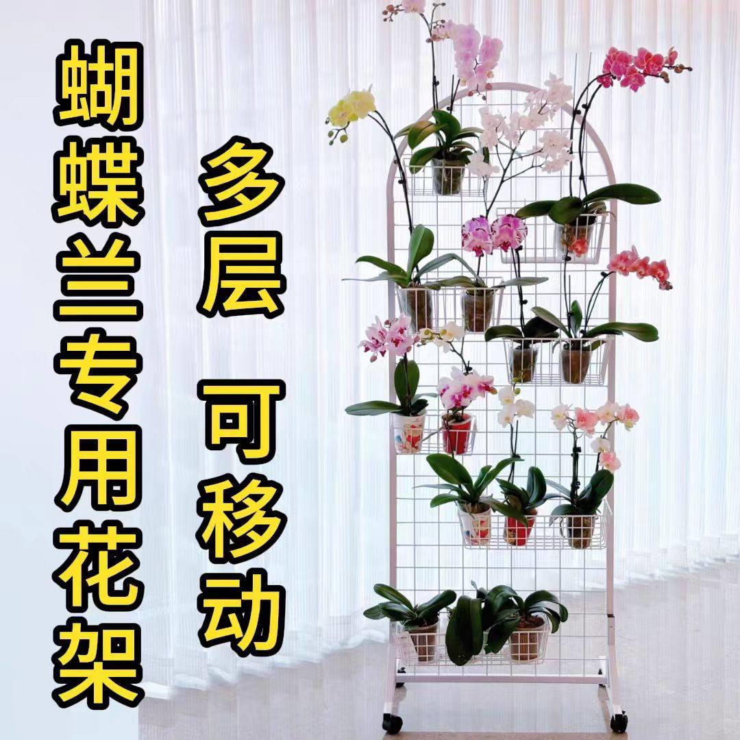 蝴蝶兰花架阳台家用饰品收纳落地铁网格架展示幼儿园环创美工作品