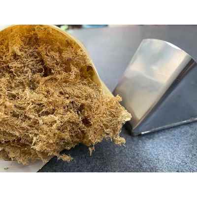 石花膏刮刀石花草手工海石花刮刀刨丝刮片海石花菜加厚刮器包邮