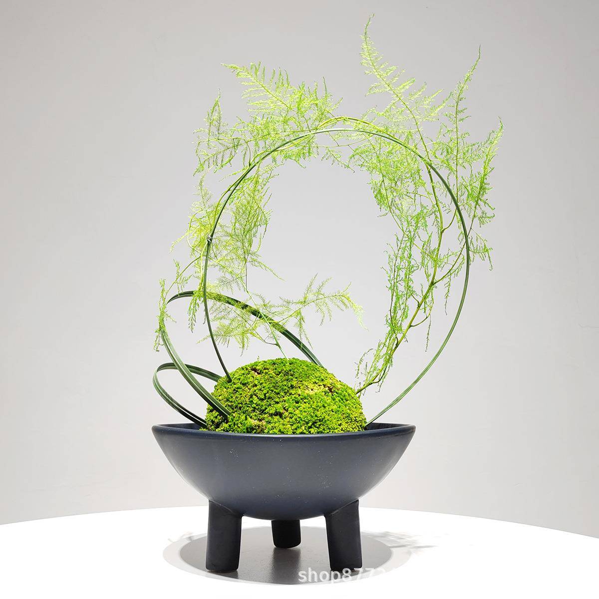 新中式绿植禅意永生苔藓仿真文竹盆景盆栽客厅餐桌现代装饰花摆件