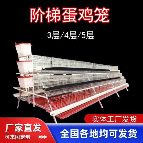 蛋鸡笼阶梯养鸡设备收拉门用冷热镀锌丝养鸡殖厂工具设备