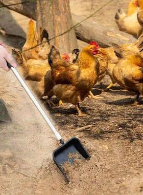 Chicken Coop Scooper Extendable Litter Sifting Shovel 4