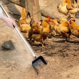 Chicken Coop Scooper Extendable Litter Sifting Shovel 4