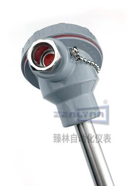 WRN支-630/631双镍铬镍硅K型WN2-630/6臻林仪表3整体钻孔锥形套管
