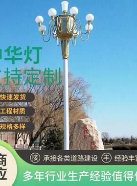 大型中华灯LED灯九头玉兰灯庭院景观灯市电路灯工程艺术高杆灯