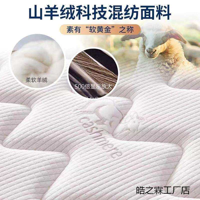 新款席梦思床垫软硬两用20cm经济型家用乳胶海椰棕马弹簧床垫租房