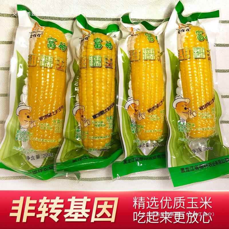东北黄糯玉米棒真空包装白糯玉米早餐代餐即食粘玉米熟黏玉米