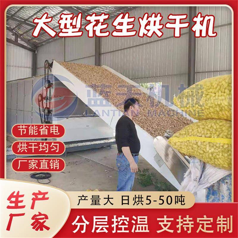 网带七彩花生烘干机云南五彩花生长生果烘干设备大型花生干燥机