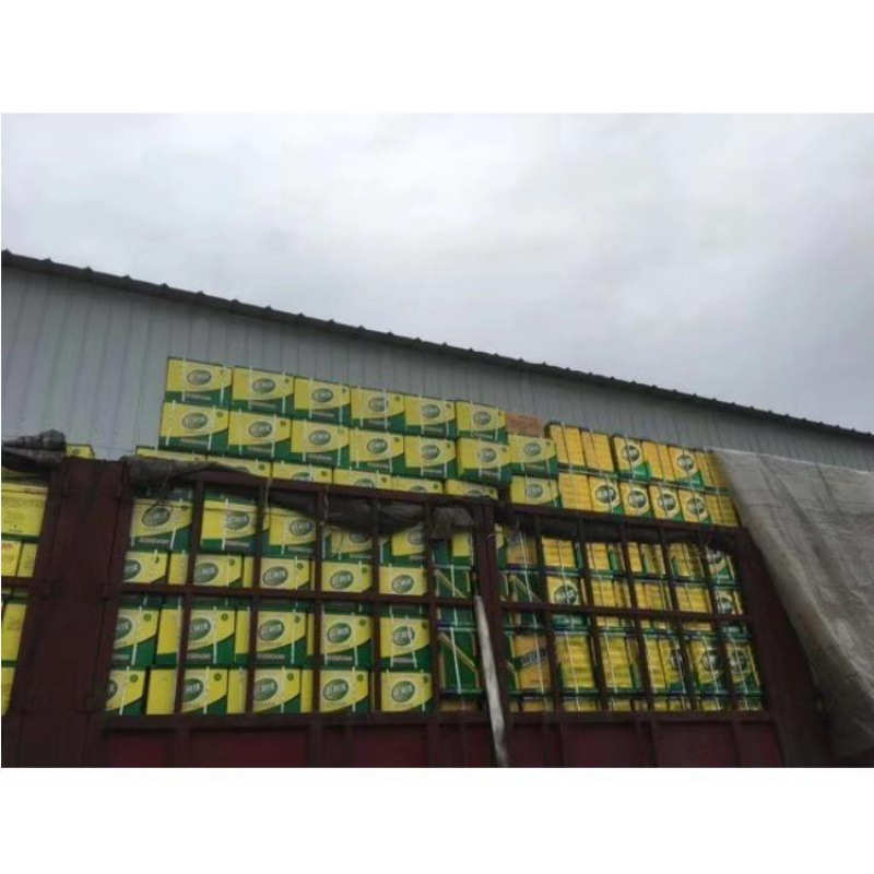 鱼珠牌万能胶批发供应鱼珠胶强力万能胶 新鱼珠SBS胶大桶