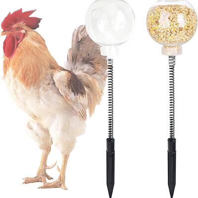 2 Pack  Chicken Peck Toy  Chicken Enrichment Toy  Chicken