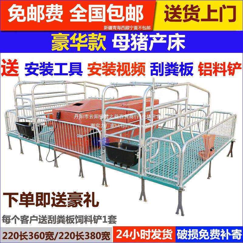 母猪产床复合板老母猪双体单体猪用产保两用国标热镀新管厂家直销