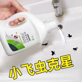 一次解决卫生间下水道地漏小飞虫问题 虫卵双杀 小飞虫克星