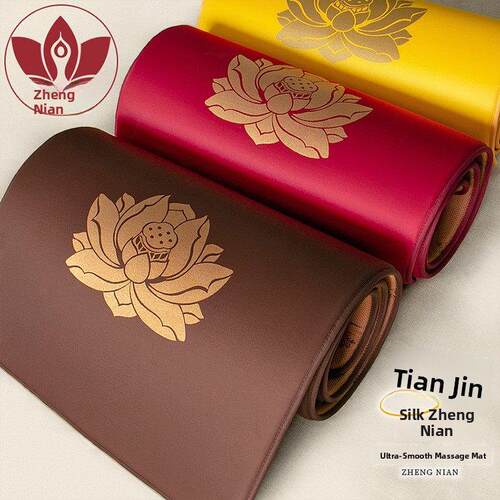 正念新款天锦丝垫垫加厚超顺滑家用舒适耐用四季适用