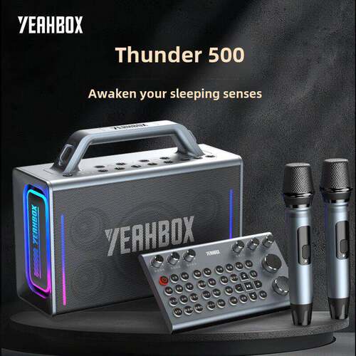Yeahbox/Yinwa Lion Thunder 500蓝牙音箱现场户外歌唱声卡一体机
