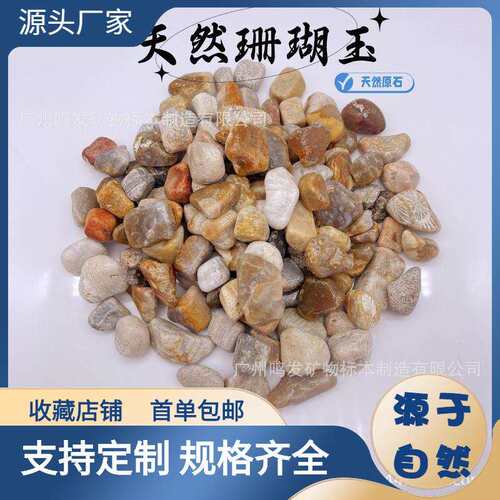 厂货天然珊瑚玉打磨石矿标宝石摆件扩香石淘沙淘矿随型石头