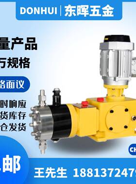 总代CHNPU泵ZYZ-10/22/35/40/70/135/150/240/300l液压隔膜计量泵