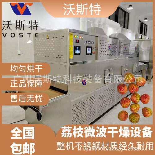 沃斯特水果烘干设备荔枝微波干燥设备果蔬脱水设备