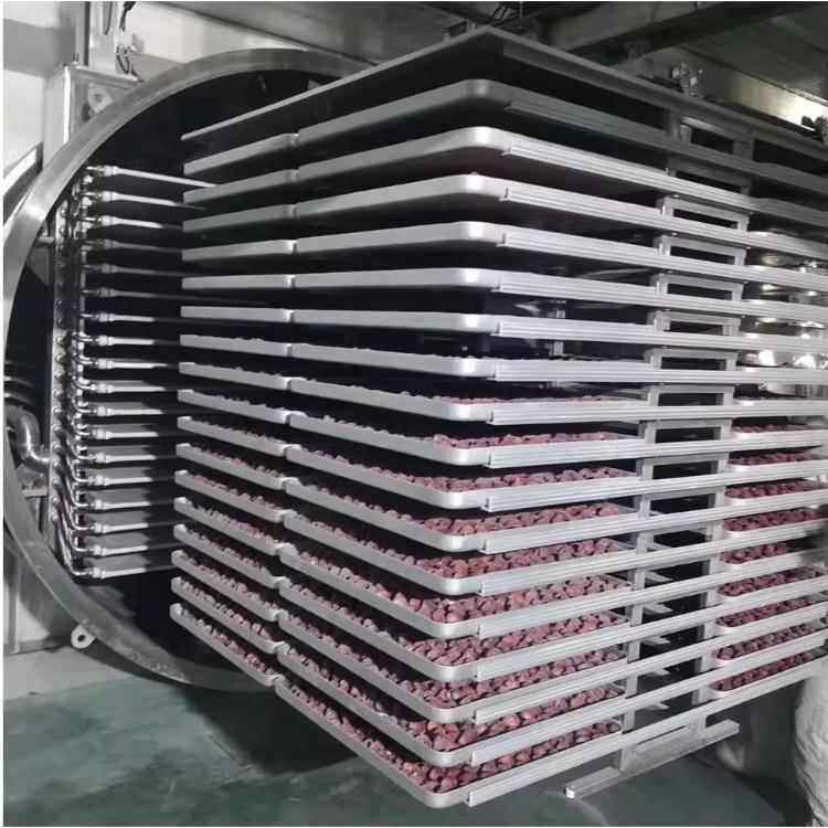 生蚝冻干粉设FJK备 加工牡冻蛎肉冻空干生产工艺技术猫粮真冷干燥