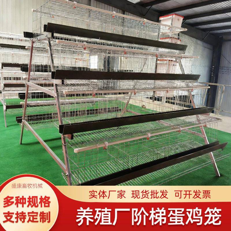 A型阶梯式蛋鸡笼热镀锌阶梯式蛋鸡笼养殖场家禽鸡舍养鸡养殖设备