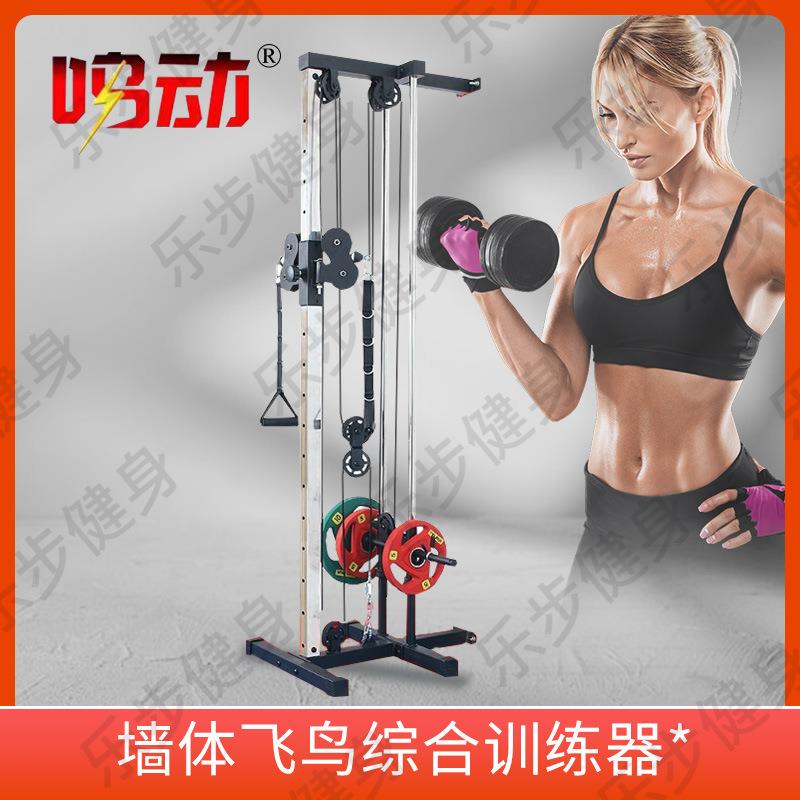 墙体大飞鸟小飞鸟综合健身肌肉训练器高位下拉宽背肩夹胸肱三头肌