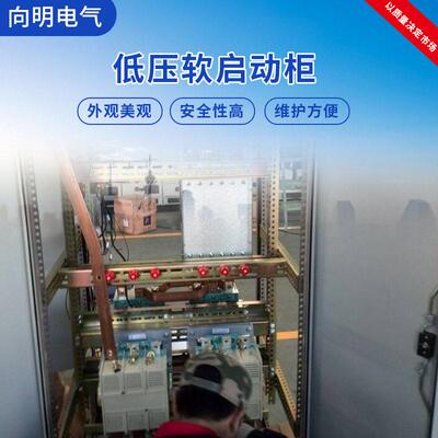 买家保障DI价合格HS系列400V低压电机电子软启动柜电机启动成套柜