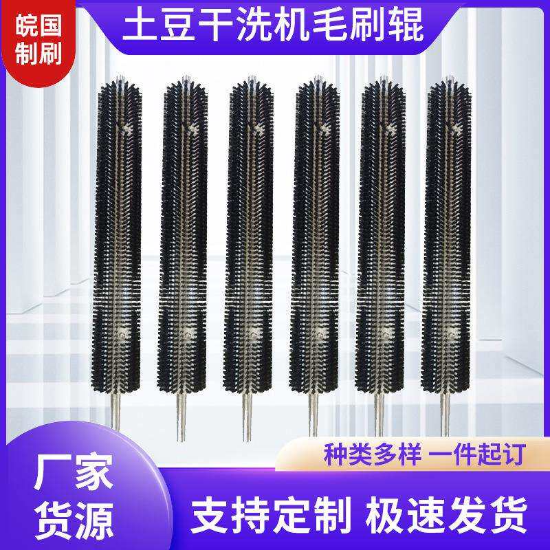 土豆干洗机毛刷辊食品水果蔬菜清洗机辊刷尼龙丝除尘螺旋滚筒刷