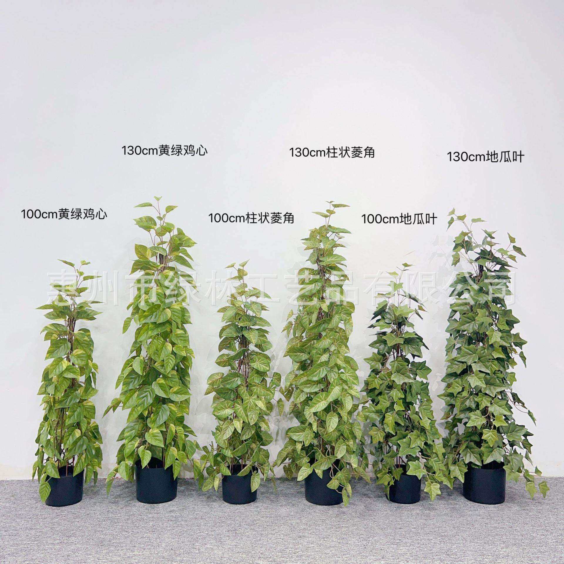 仿真柱状藤胶叶壁挂爬藤装饰植物鸡心藤条番地瓜叶盆栽室内外摆件