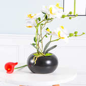 蝴蝶兰摆件电视柜花假摆设兰花客厅装 饰餐桌高档花艺套装 盆栽仿真