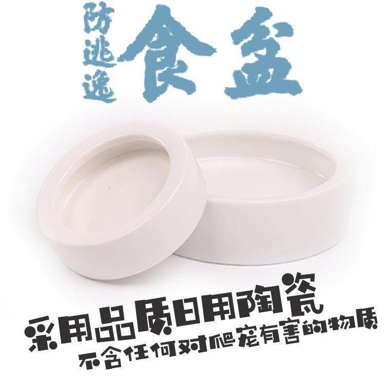 防逃食盆豹纹守宫蜥蜴爬宠鬃狮蜘蛛饲养箱水盆活面包虫杜比亚陶瓷,宠物/宠物食品及用品,爬宠缸/箱,淘宝优惠券,粉丝福利购,淘宝优惠卷