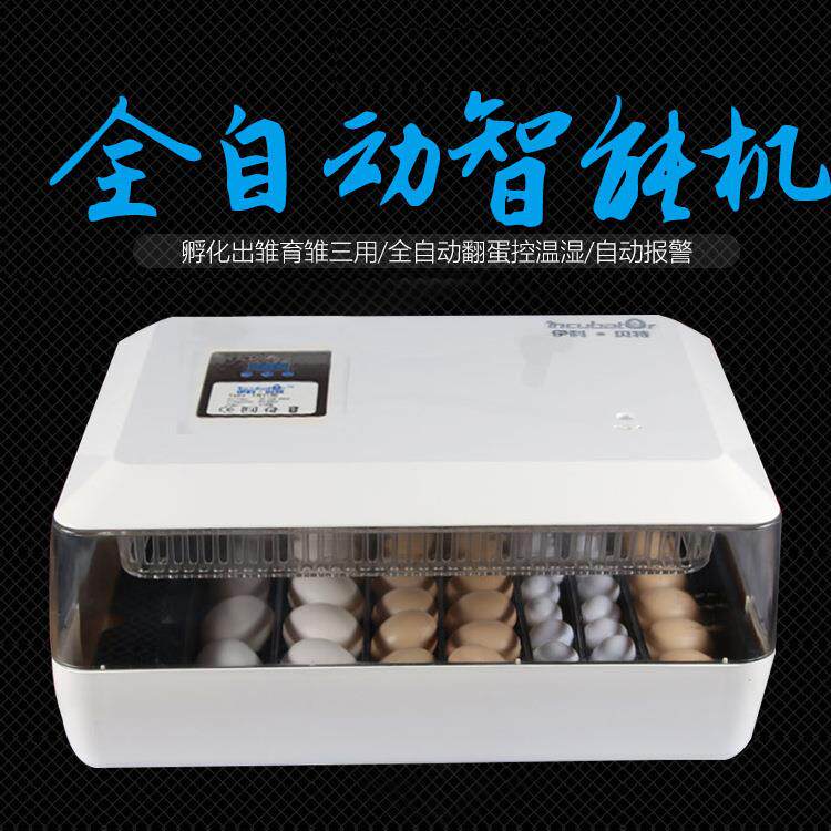 全新8家枚禽鸟类鸡鹅全自动迷你4孵化机芦鸭HMQ丁鸡鹌鹑鸽子孵化