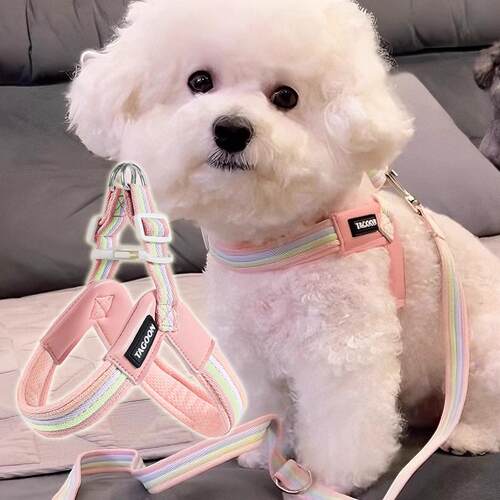 狗狗牵引绳胸背带背心式中小型犬遛狗绳泰迪柴犬透气撞色狗链项圈