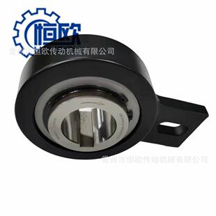 N70150轴孔70mm 斗士提升机逆止器CK