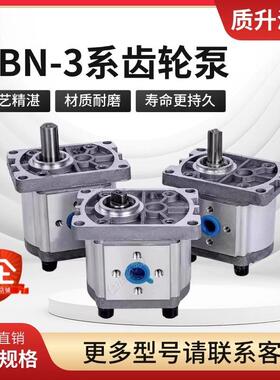 液压齿轮泵小型油泵高压齿轮泵CBN-E3系列306310314液压油泵增压