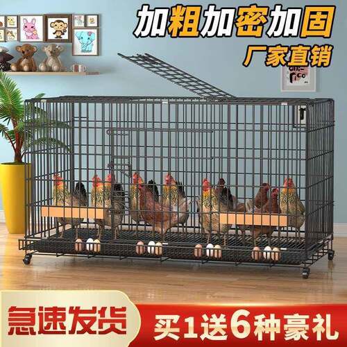 楼顶养鸡笼阳台无臭养鸭兔的专用铁笼子简易农村养鸡笼不锈钢铁笼