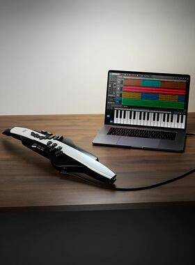 Roland罗兰 电吹管 AE-30 AE-05 AE-01 电吹管萨克斯罗可