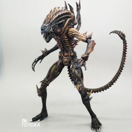 7寸异形狗大战铁血战士手办契约模型Alien 可动人偶玩具母后 NECA