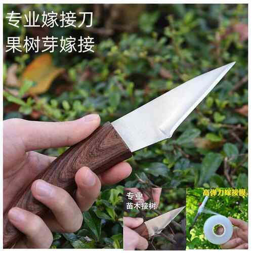 不锈钢芽接刀嫁接工具专业嫁接工具嫁接膜果树园林嫁接刀植物修剪