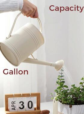 Watering Can for Indoor Plants Small Watering Cans for House