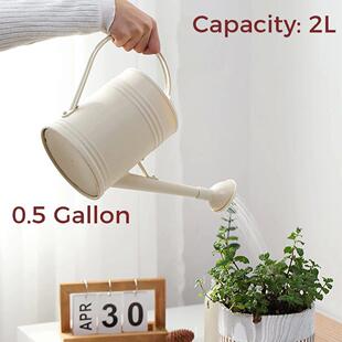 Indoor for Can House Small Cans Plants Watering