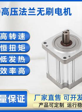 627W大扭矩无刷直流电机恒扭矩低噪音大功率无刷电机马达可调速