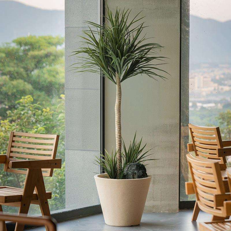 仿真龙20250430血树植摆龙须树铁树龙轻奢客绿厅装饰大型假植物落