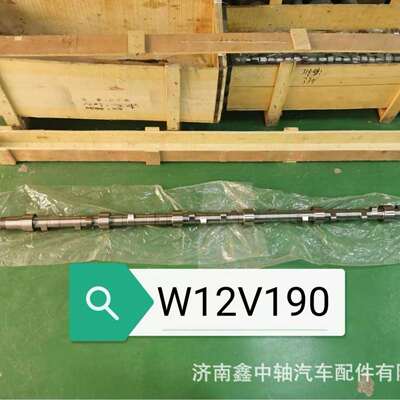 厂家直销济柴发电机组凸轮轴W12V190/C12V190/T12V190船机凸轮轴