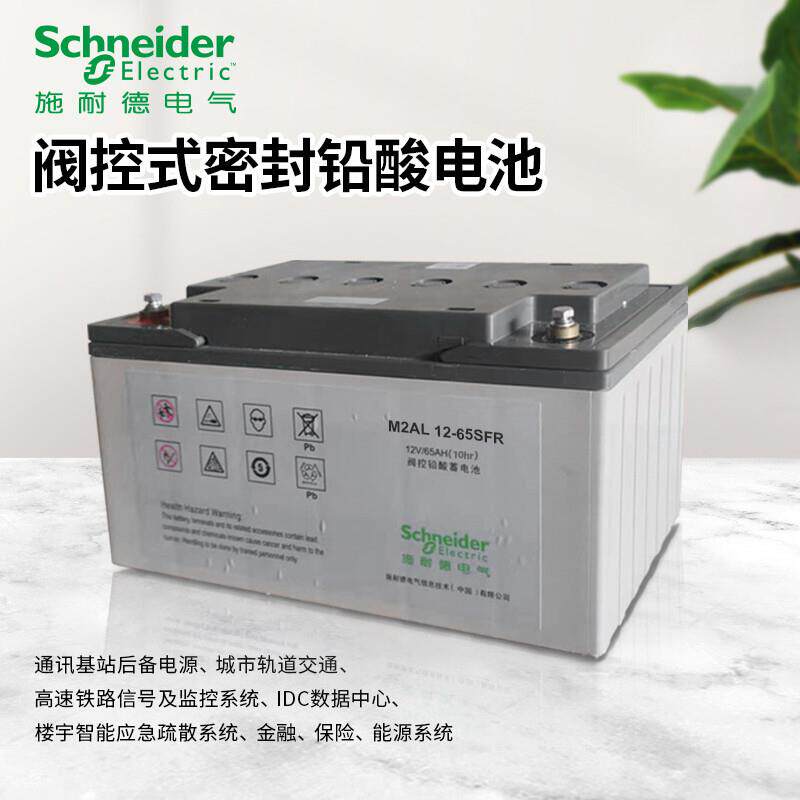 APC施耐M2AL12-65CFR 免维护密封铅酸蓄电池12V65Ah蓄电池原厂