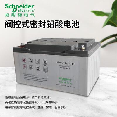 APC施耐M2AL12-65CFR 免维护密封铅酸蓄电池12V65Ah蓄电池原厂