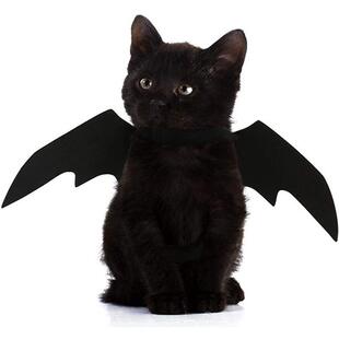 Costume Cat Small Pet Wings Cute Bat Halloween